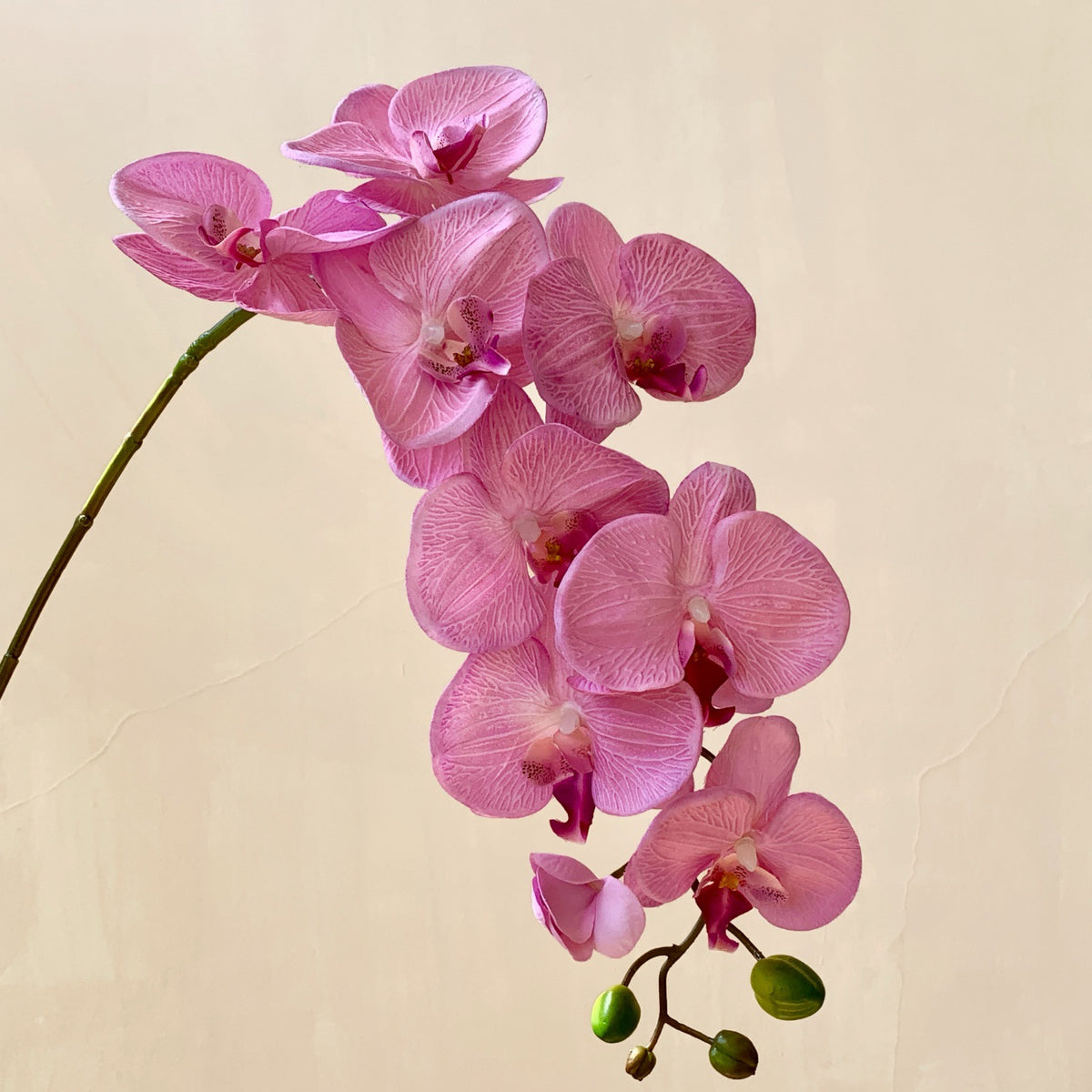 Elegante Künstliche Orchideenblütenstängel