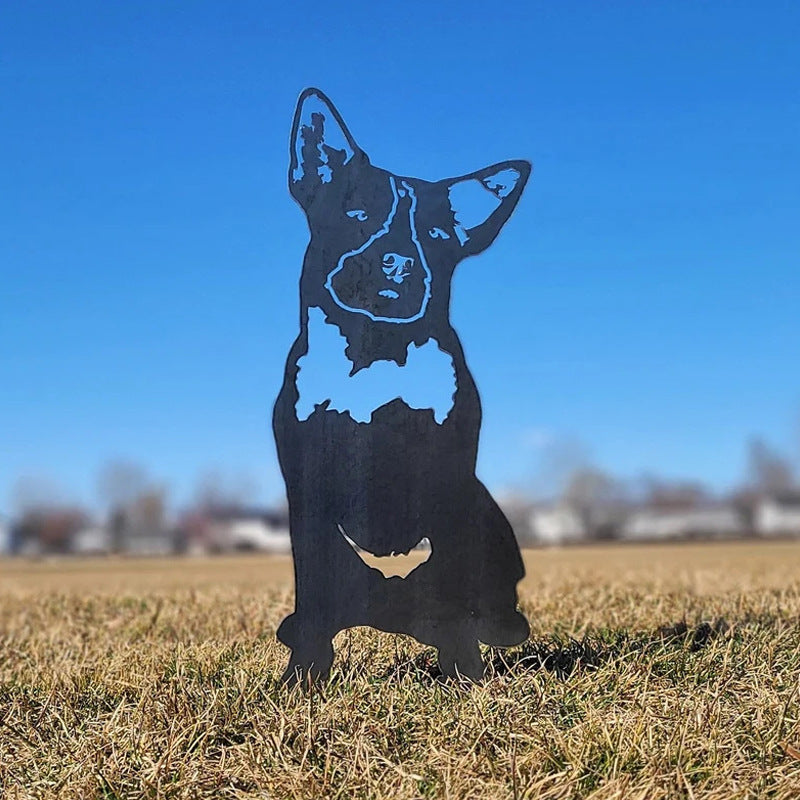 Cairn Terrier | Brehn
