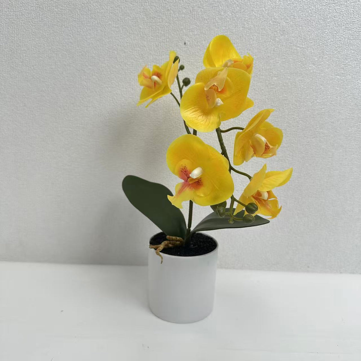 Lifelike Phalaenopsis-Orchideenpflanzenanordnung