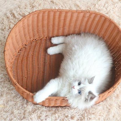 Katzenbett Brehn