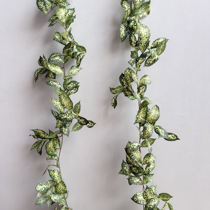 Dekorative Grüner Kranz