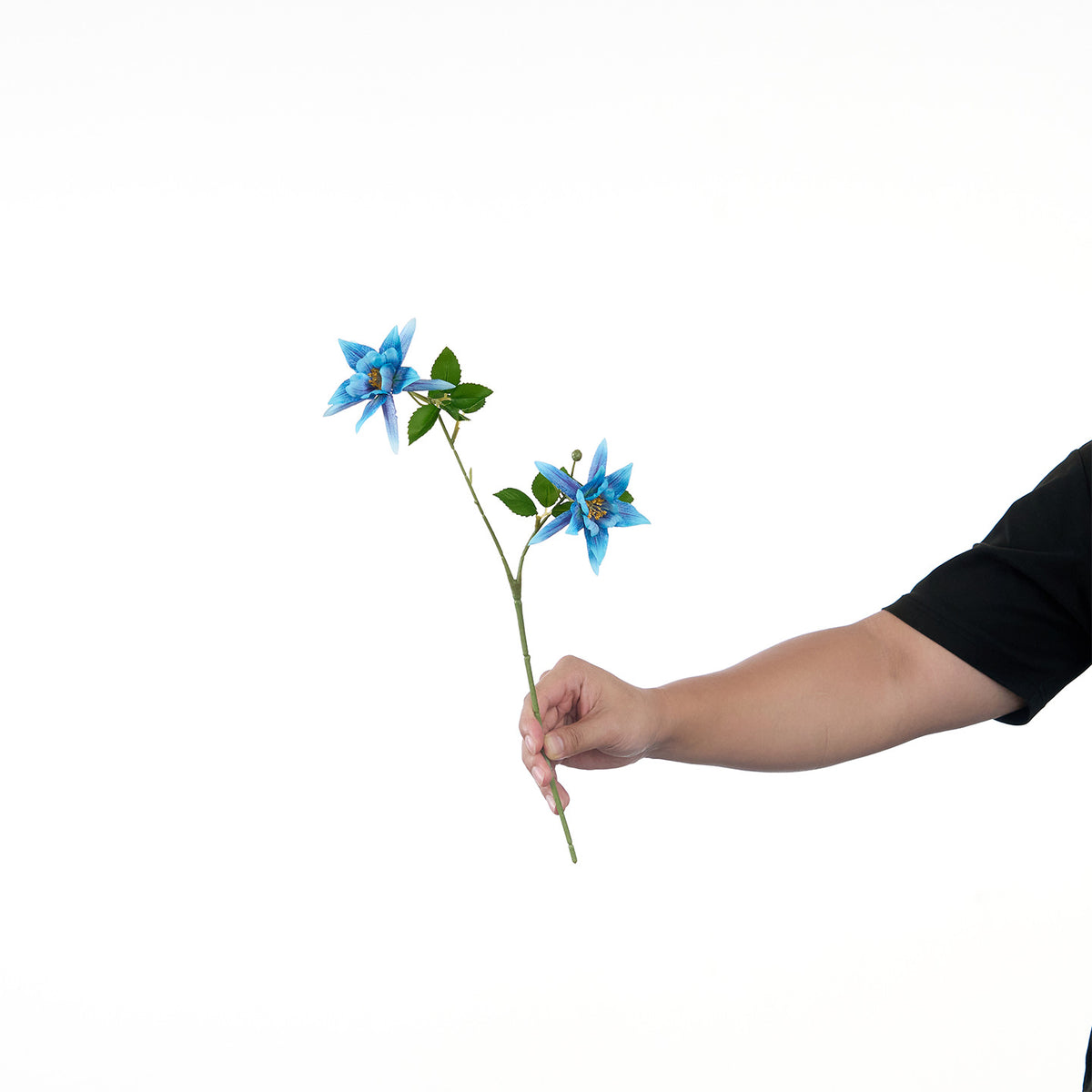 Lebensechte Mehrblütenblumenstiel