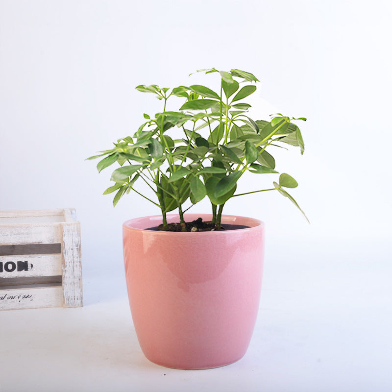Blumentopf Set Brehn
