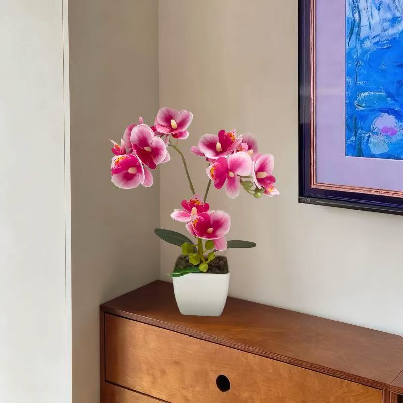 Lebensechte Orchideenpflanzenanordnung für die Heimpräsentation