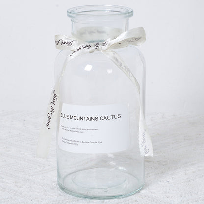 Dekorative umweltfreundliche Glasvase