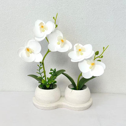 Elegante Faux-Orchideenblütenanzeige