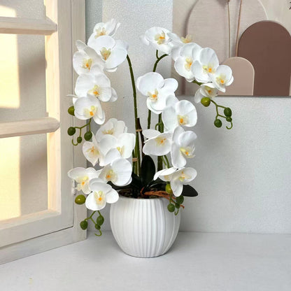 Elegante Orchideenblütenarrangement
