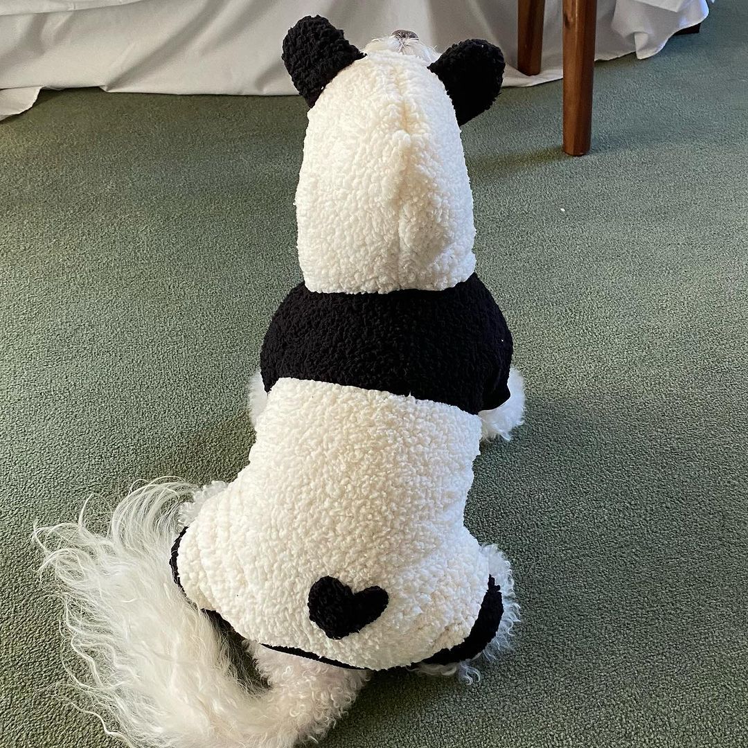 Teddy Sherpa Geschirr-kompatible Hundeweste mit kontrastierendem Herzapplikation