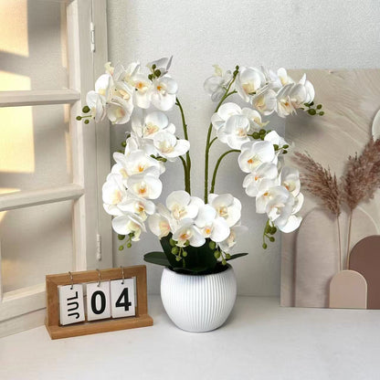 Lebensechte dekorative Orchideenarrangement für die Innenausstattung