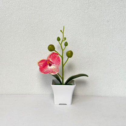 Lebensnahe Miniatur-Orchideenpflanze