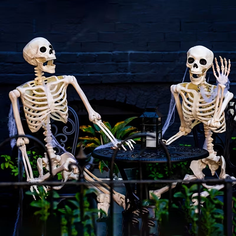 Anatomisches Skelettmodell