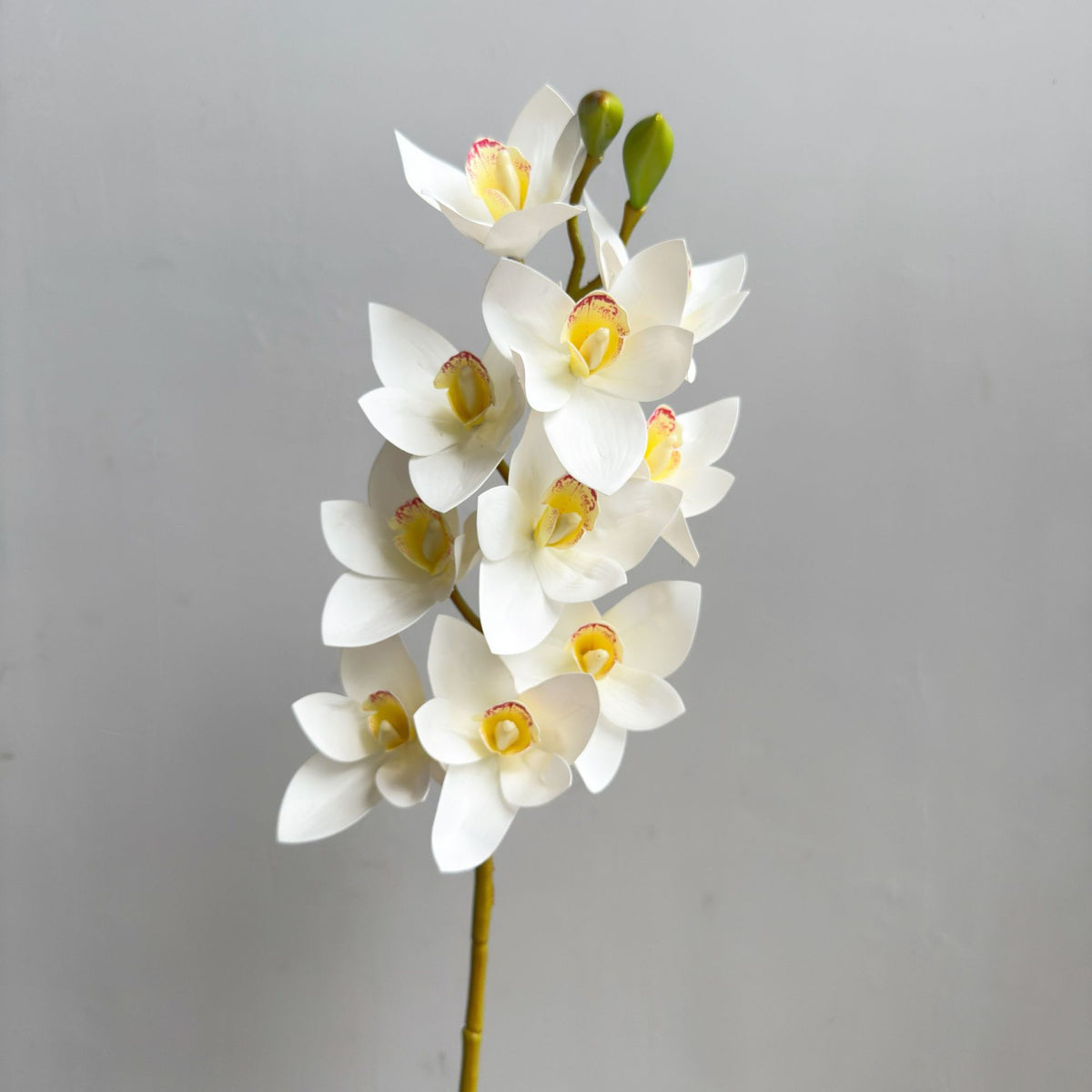 Dekorative Blumenarrangement