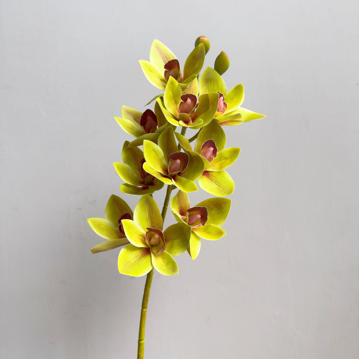 Dekorative Blumenarrangement