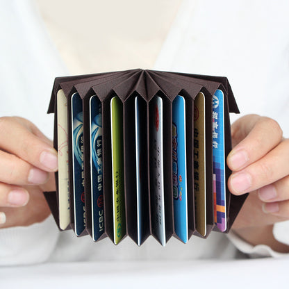 Multi-Compartment Karten Organizer