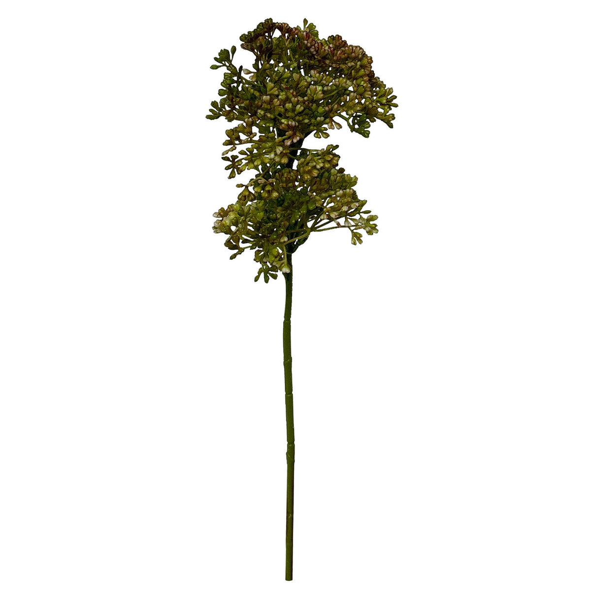 Lebensechte botanische Stielanordnung