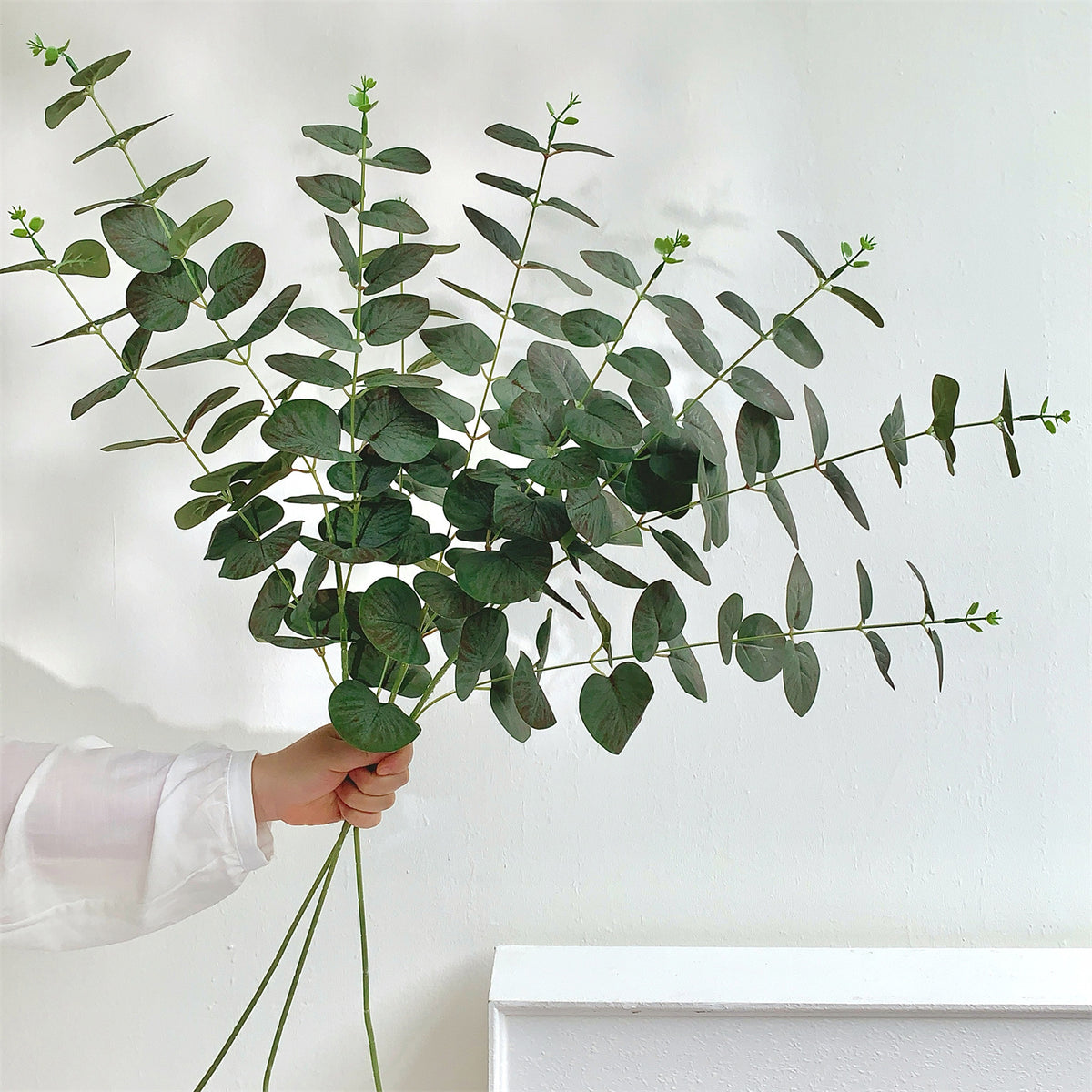 Eukalyptus Dekorative Anordnung