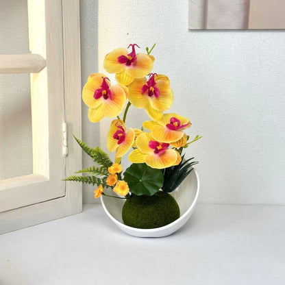Elegante Orchideenarrangement