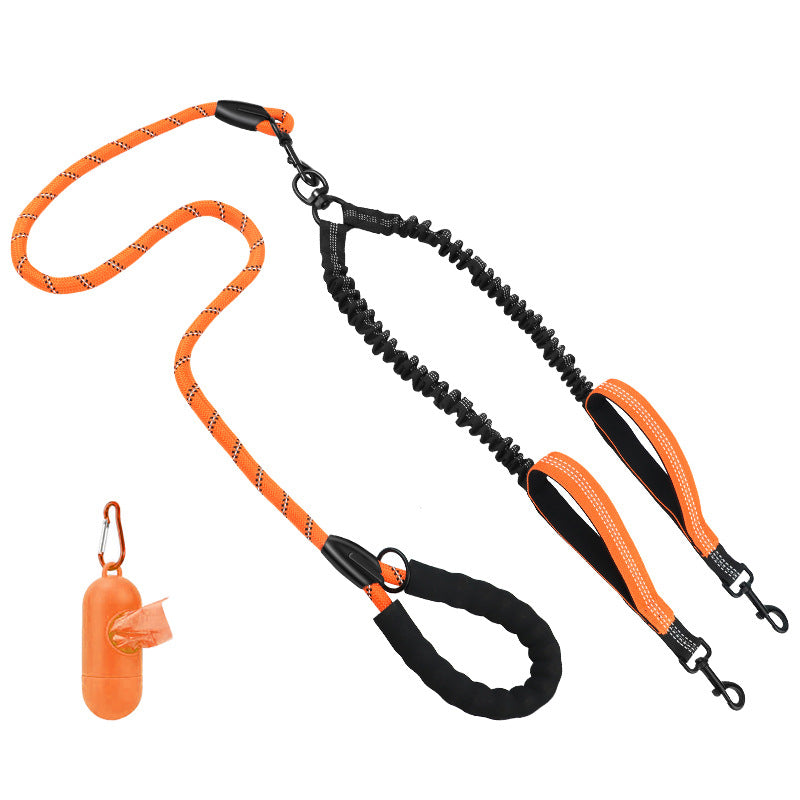 Hundetraining Leine