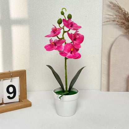 Dekorative Künstliche Orchidee für die Heimdekoration