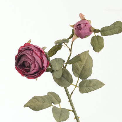 Lebensnahe Pinke Rosenstiel