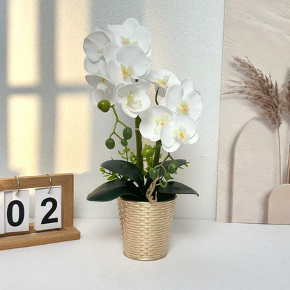 Künstliche Orchidee Florale Anzeige für Innenraumdeko