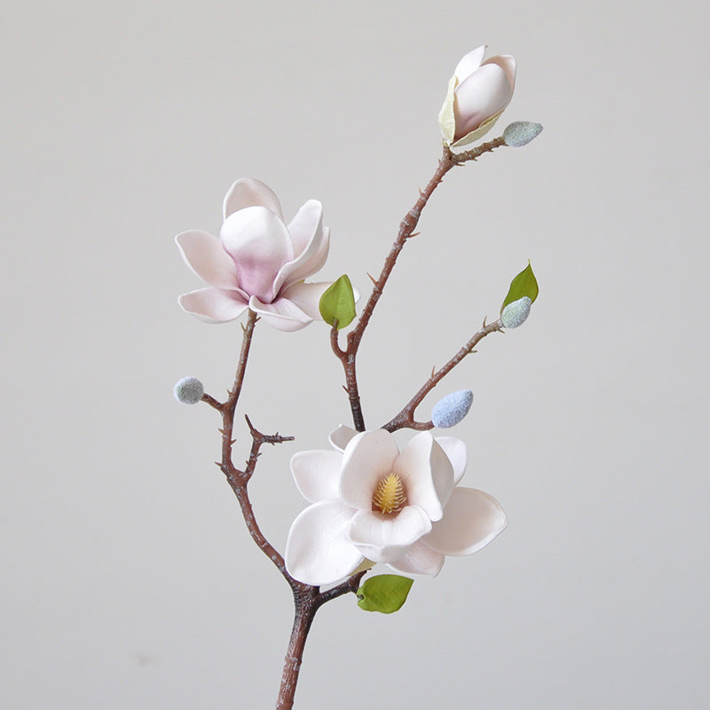 Magnificent Seident magnolia blumenstiel