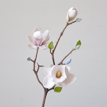 Magnificent Seident magnolia blumenstiel