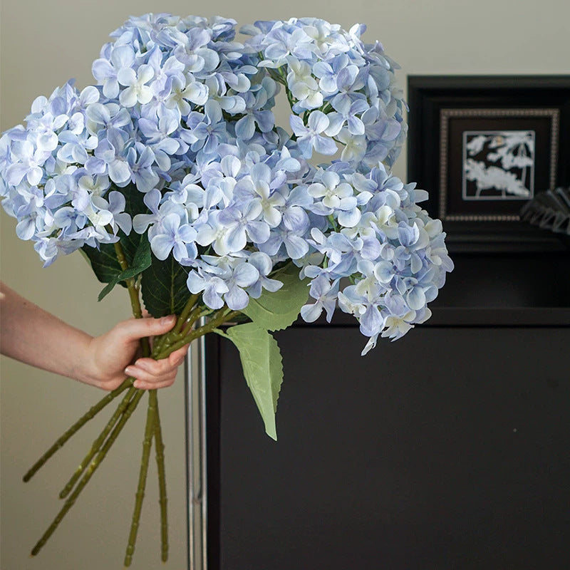 Hydrangea Dekorativer Floraler Stiel