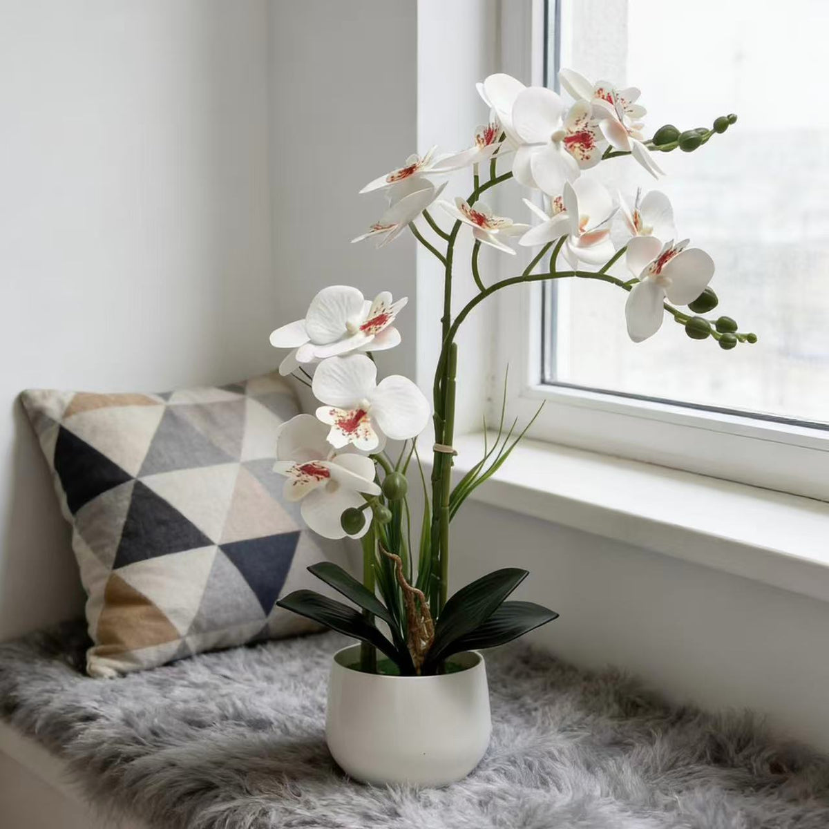 Exquisite Künstlicher Orchideen Ausstellung