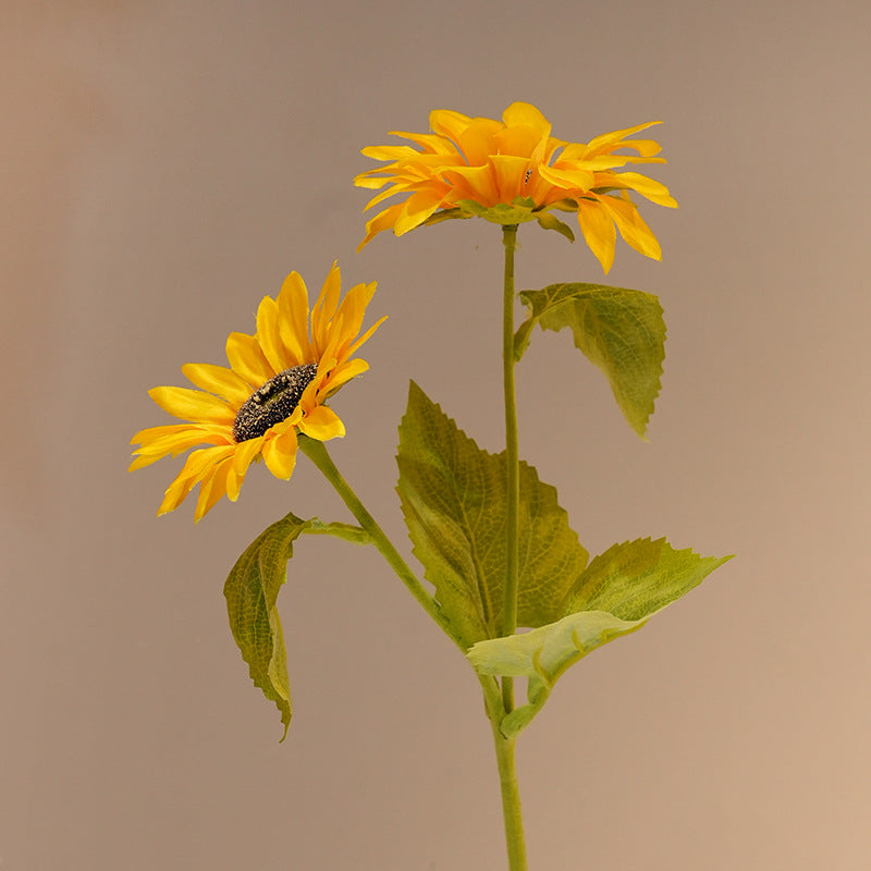 Dekorative Sonnenblume Brehn