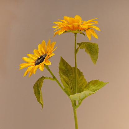 Dekorative Sonnenblume Brehn