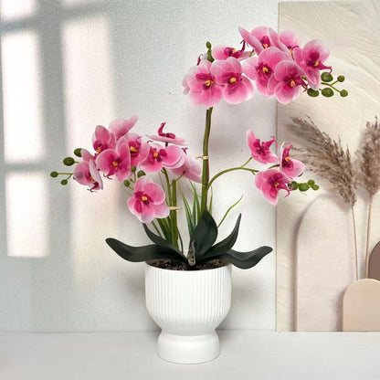 Elegante Künstliche Orchideen-Anordnung für dekorative Anzeige