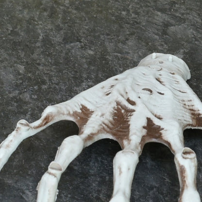 Gruselige realistische Skeletthand Requisite Brehn