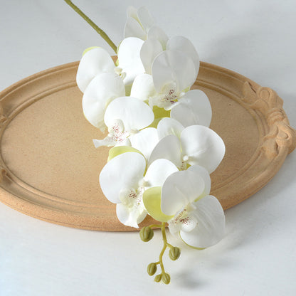 Dekorative künstliche Orchideenstängel