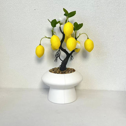 Dekorativer Zitronenbaum Arrangement
