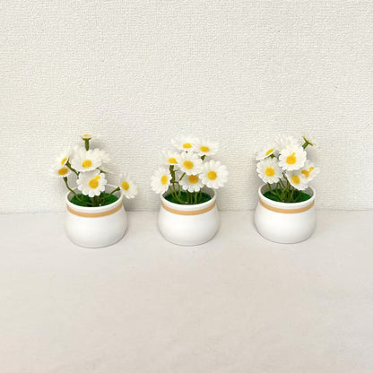 Dekorative Miniatur-Gänseblümchentöpfe
