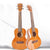 Premium Mahagoni-Korpus Ukulele Brehn