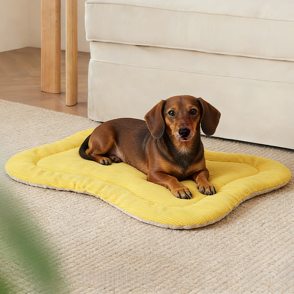 Premium Hundekomfortmatte