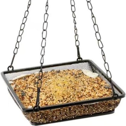 Vogelbad und Futterstelle Brehn