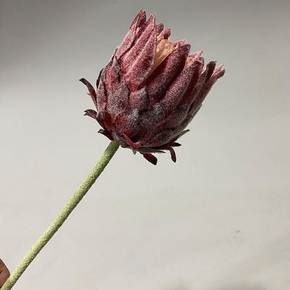 Lebensechter Protea Blumenstängel
