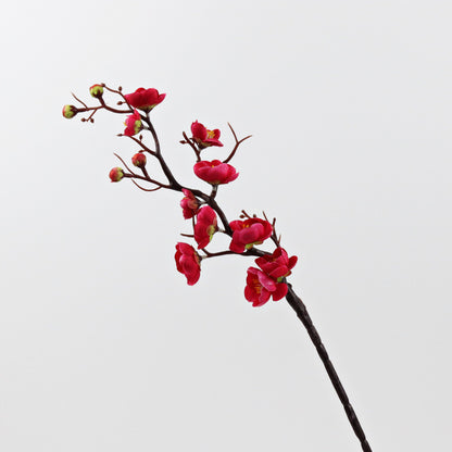 Dekorative Blumenarrangement für die Hausdekoration
