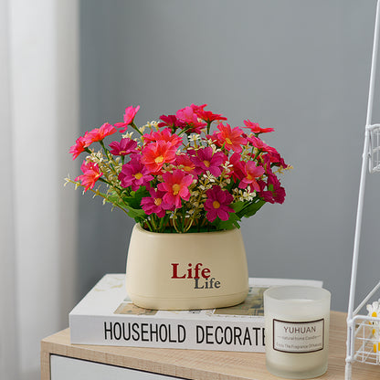Dekorativer Topfpflanzenscheinblumen-Arrangements