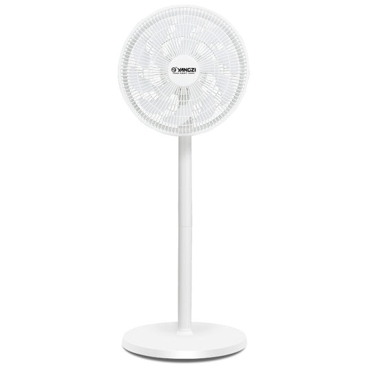 Damen Standventilator Brehn