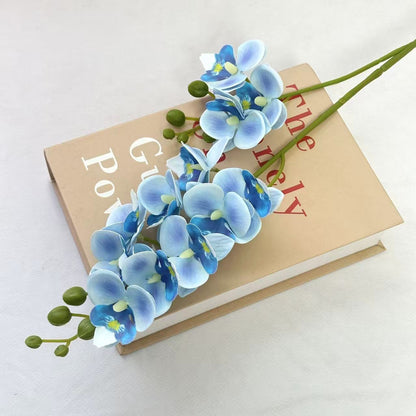 Dekorative Orchidee für die Innenraumgestaltung