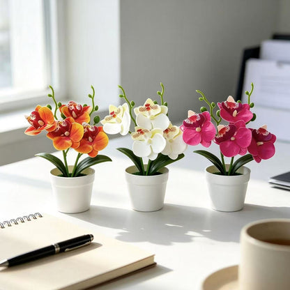 Elegante dekorative Orchideen-Blumenarrangement für die Wohnungseinrichtung