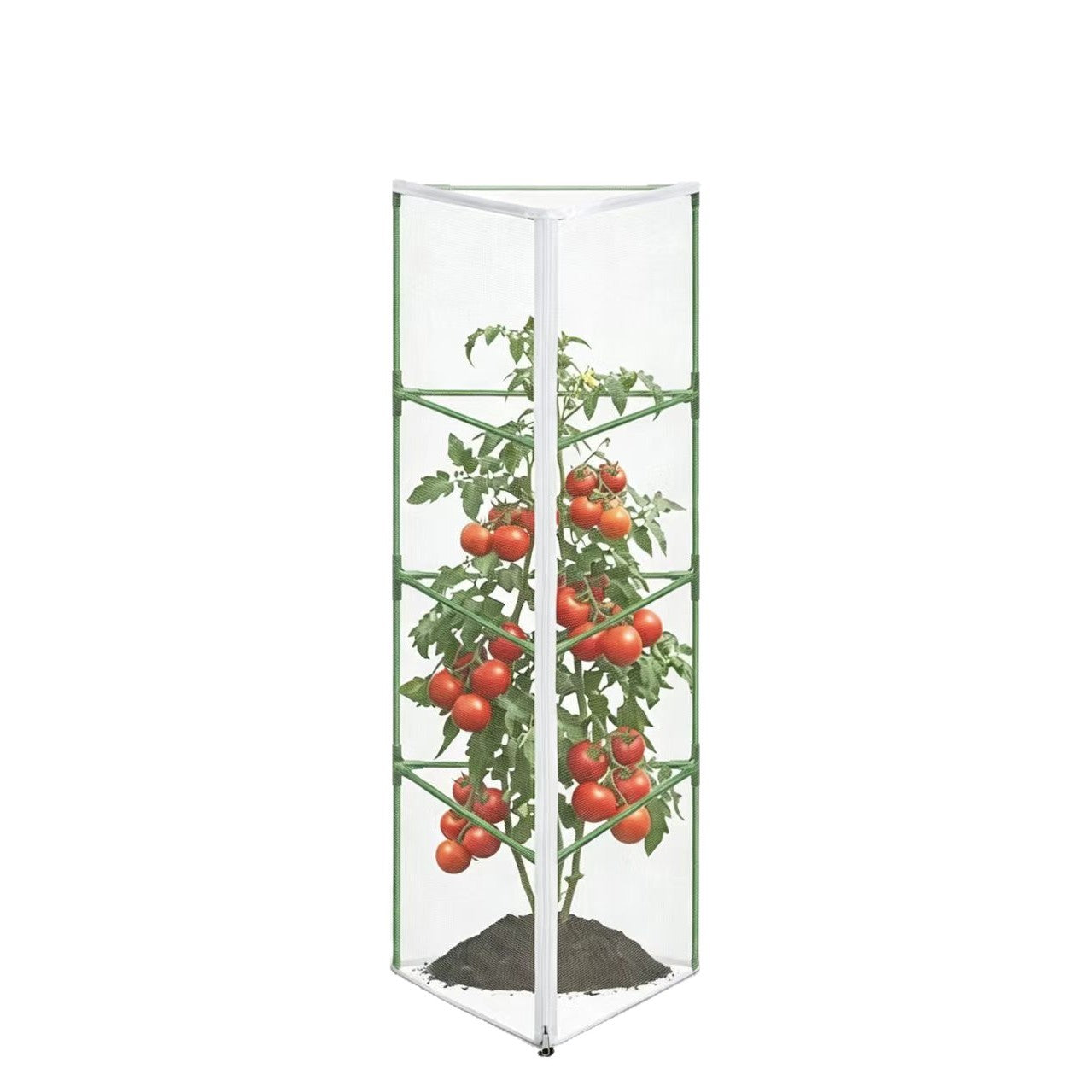 Gartenpflanze Unterstützung Brehn