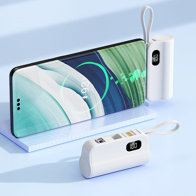 tragbare Powerbank Brehn