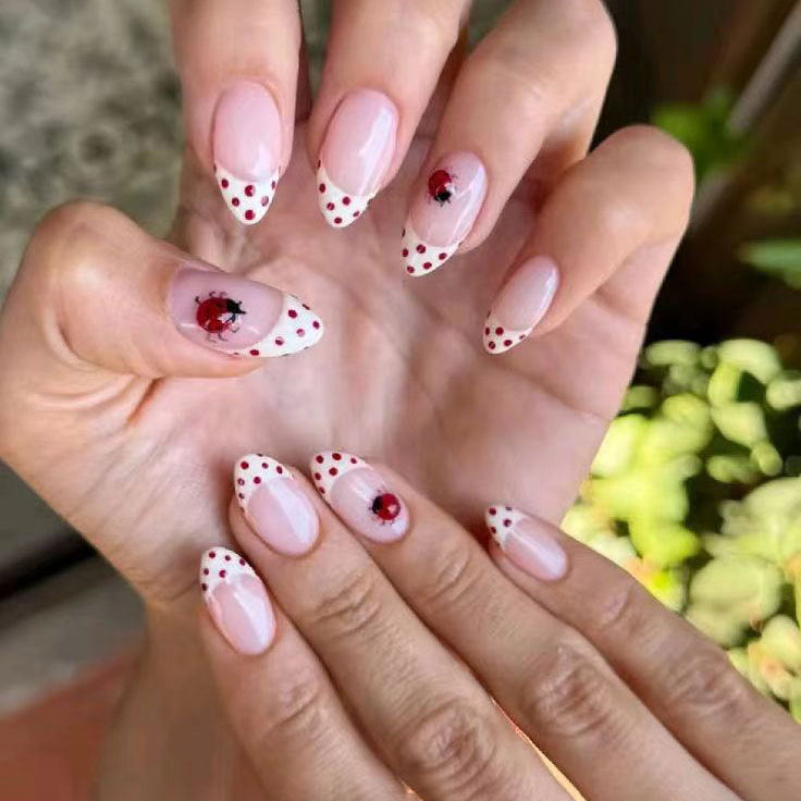 Künstlerisches Marienkäfer-Themen-Nagelkunst-Kit