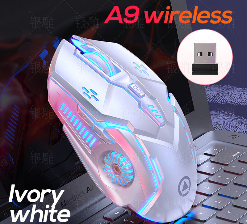 Drahtlose Gaming-Maus mit RGB-Beleuchtung Brehn