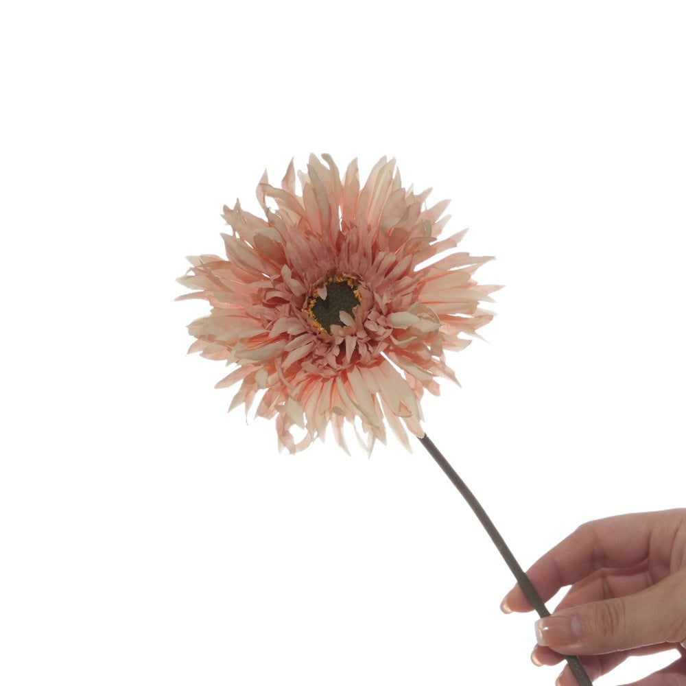 Lebensnahe Gerbera-Daisy-Stängel